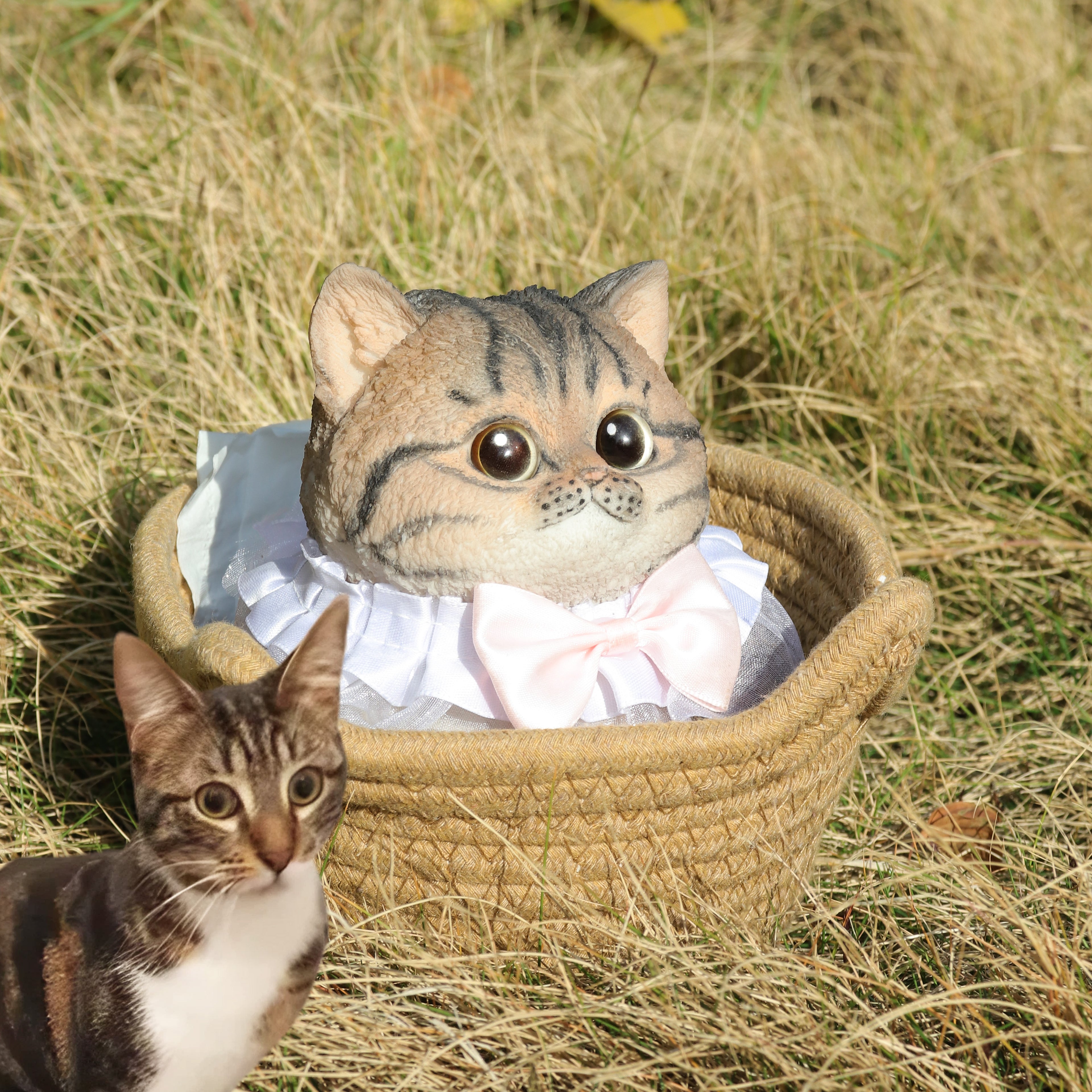 Custom Cute Cat Squishy Toy