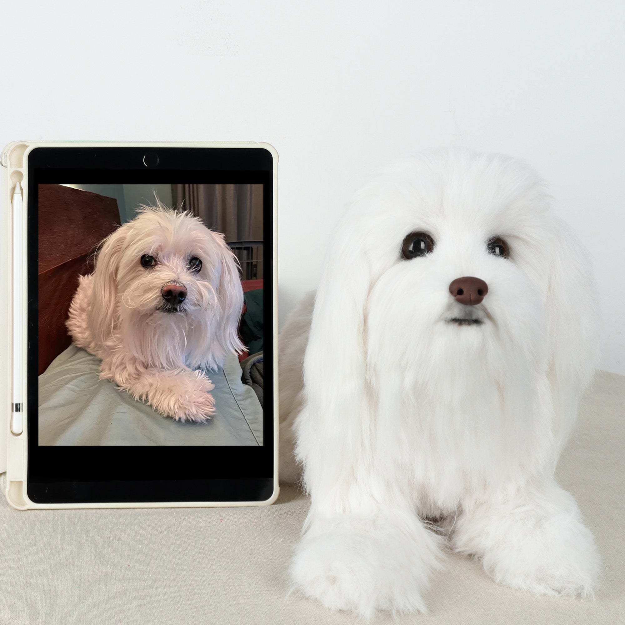 Custom Realistic Dog Replica Stuffed Animal Pet Memorial