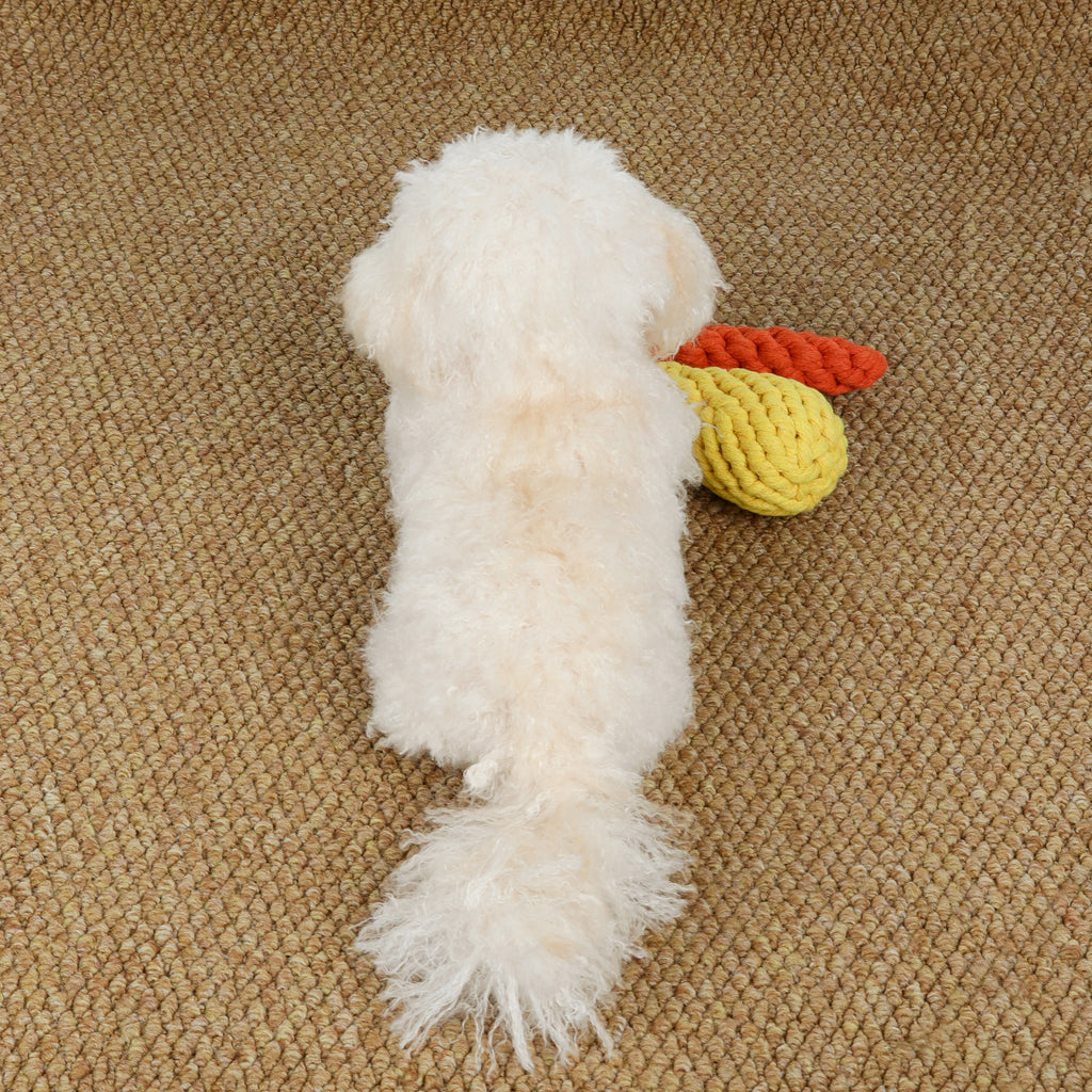 Custom Realistic Dog Replica Stuffed Animal Pet Memorial