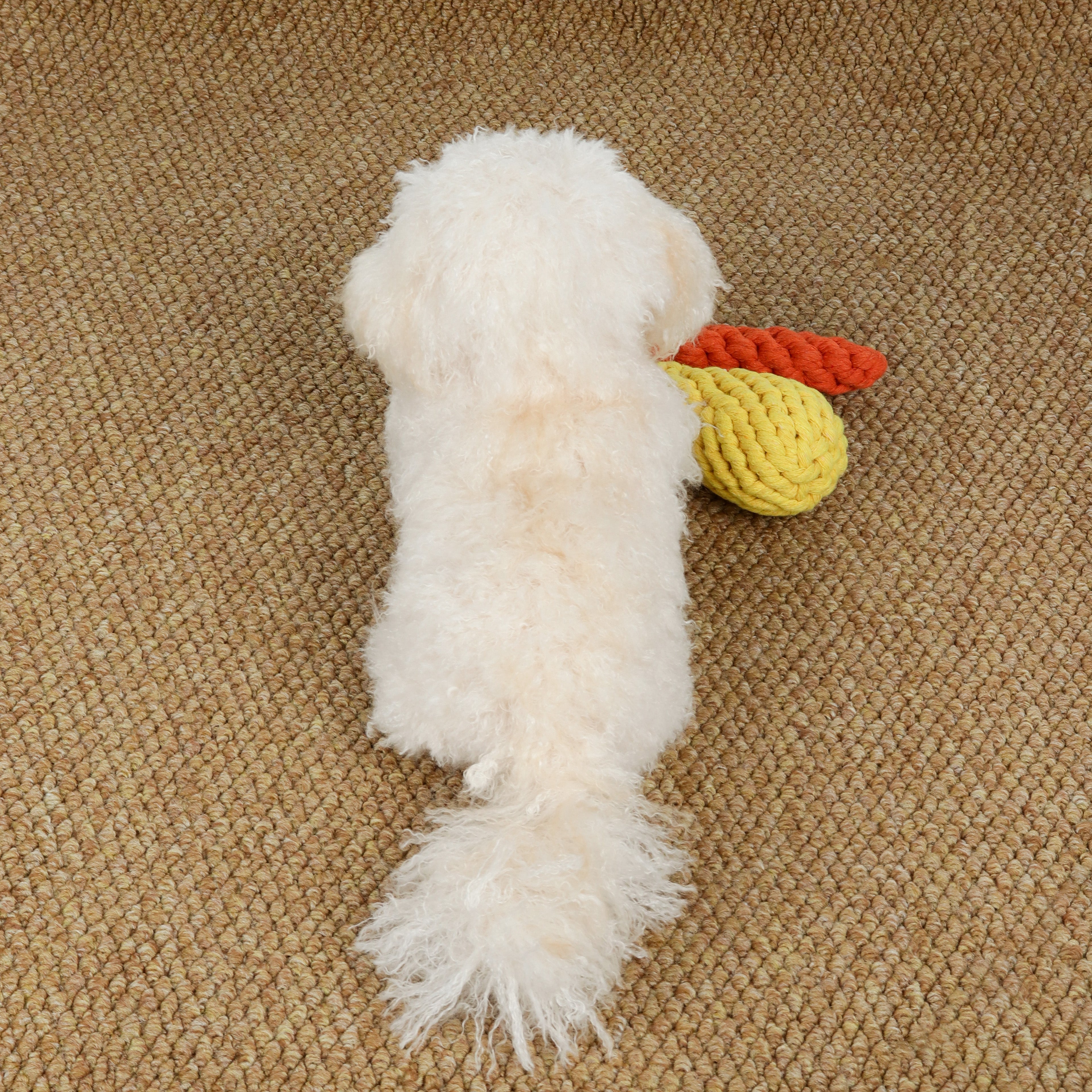 Custom Realistic Dog Replica Stuffed Animal Pet Memorial