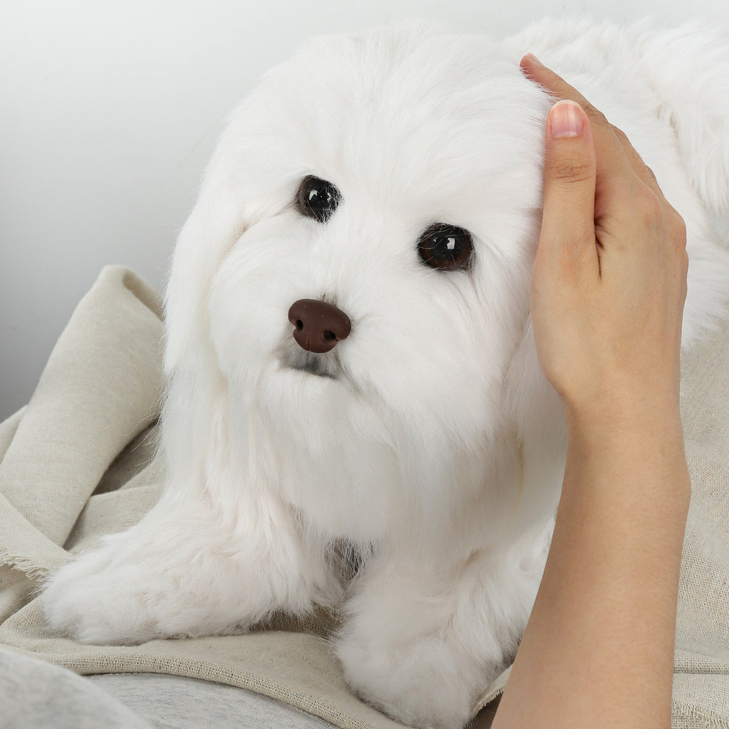 Custom Realistic Dog Replica Stuffed Animal Pet Memorial