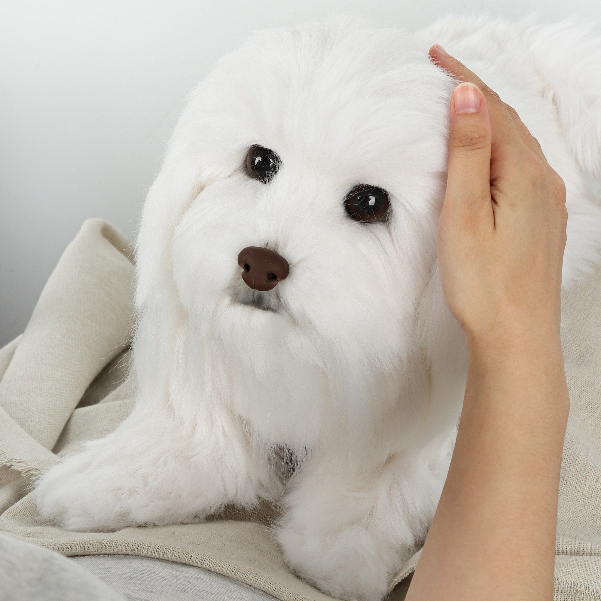 Custom Realistic Dog Replica Stuffed Animal Pet Memorial