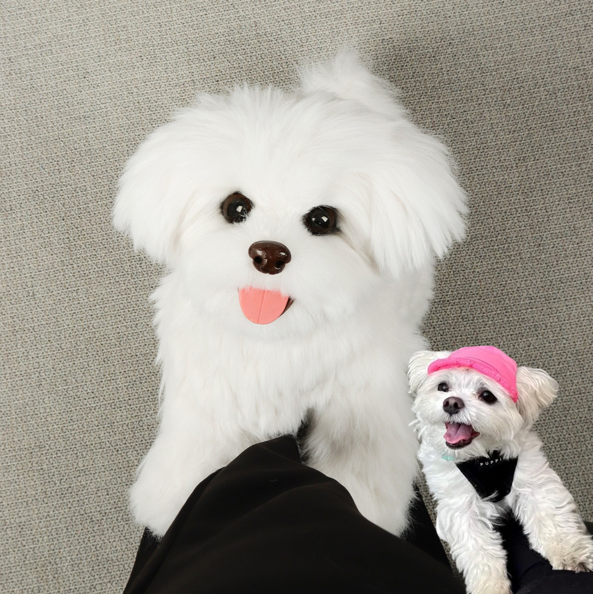 Custom Realistic Dog Replica Stuffed Animal Pet Memorial