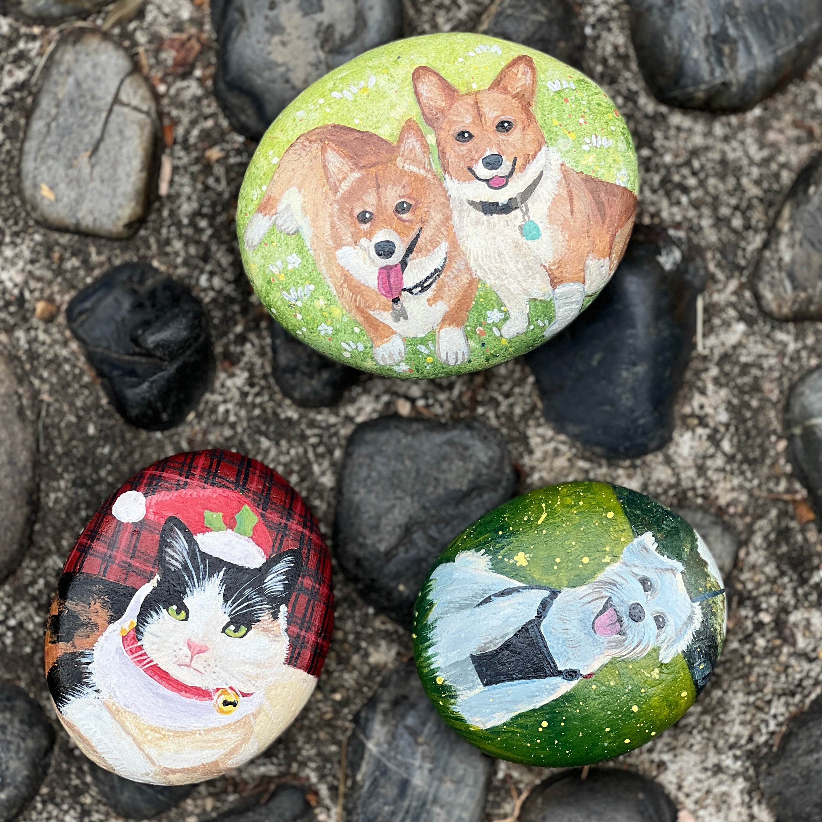 Custom Pet Rock Memorial My Buddy