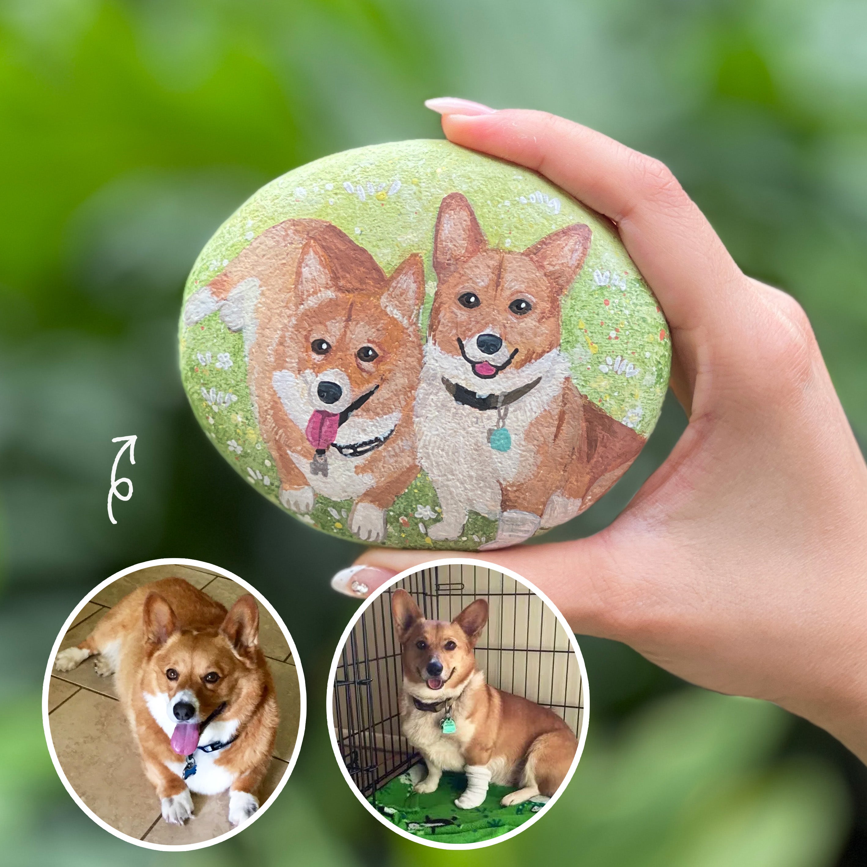Custom Pet Rock Memorial My Buddy