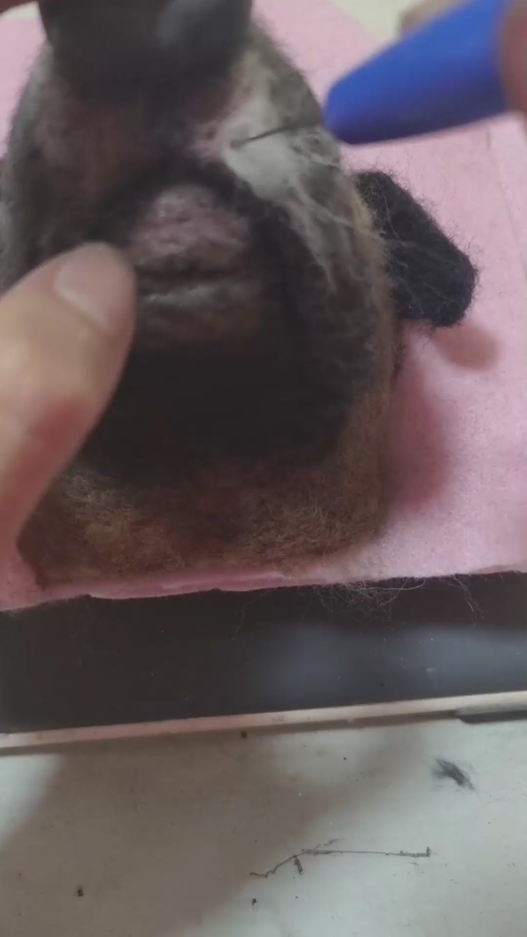 Wakuneco, Felted Dog Portrait Memorial for My Dog